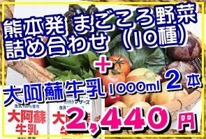 野菜10種＋牛乳2本セット