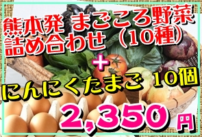 野菜10種＋卵10個セット