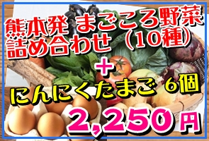 野菜10種＋卵6個セット
