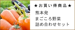熊本四季農園 | 野菜セット