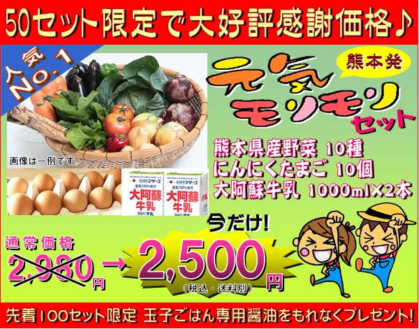 熊本発 元気モリモリセット