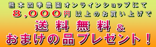 8,000円以上のお買い上げで送料無料＆おまけの品プレゼント！