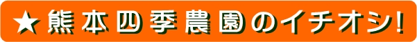[見出しイメージ]熊本四季農園のイチオシ